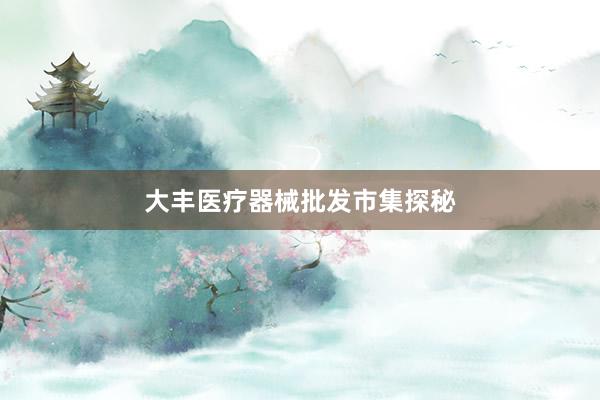 大丰医疗器械批发市集探秘