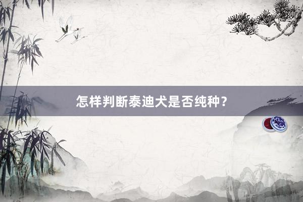 怎样判断泰迪犬是否纯种？