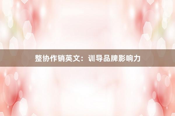 整协作销英文：训导品牌影响力