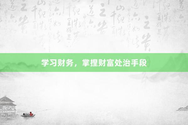 学习财务，掌捏财富处治手段
